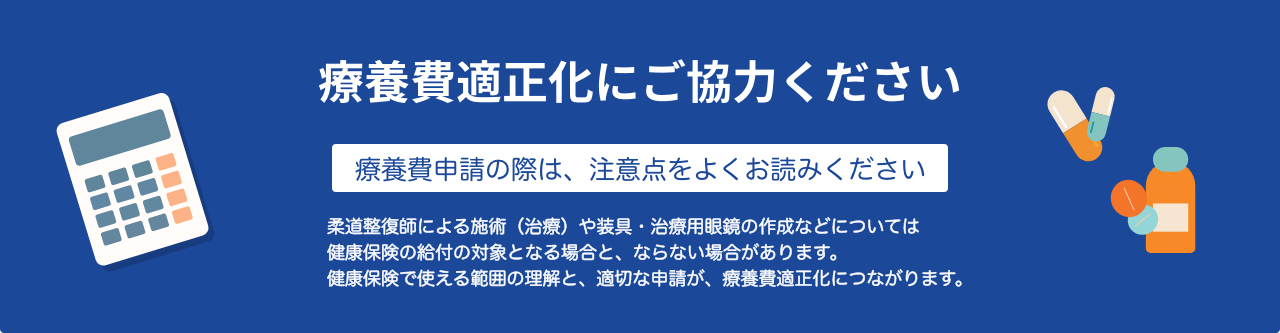 療養費適正化