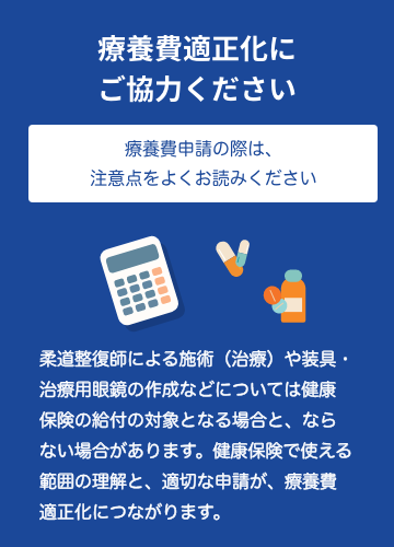 療養費適正化
